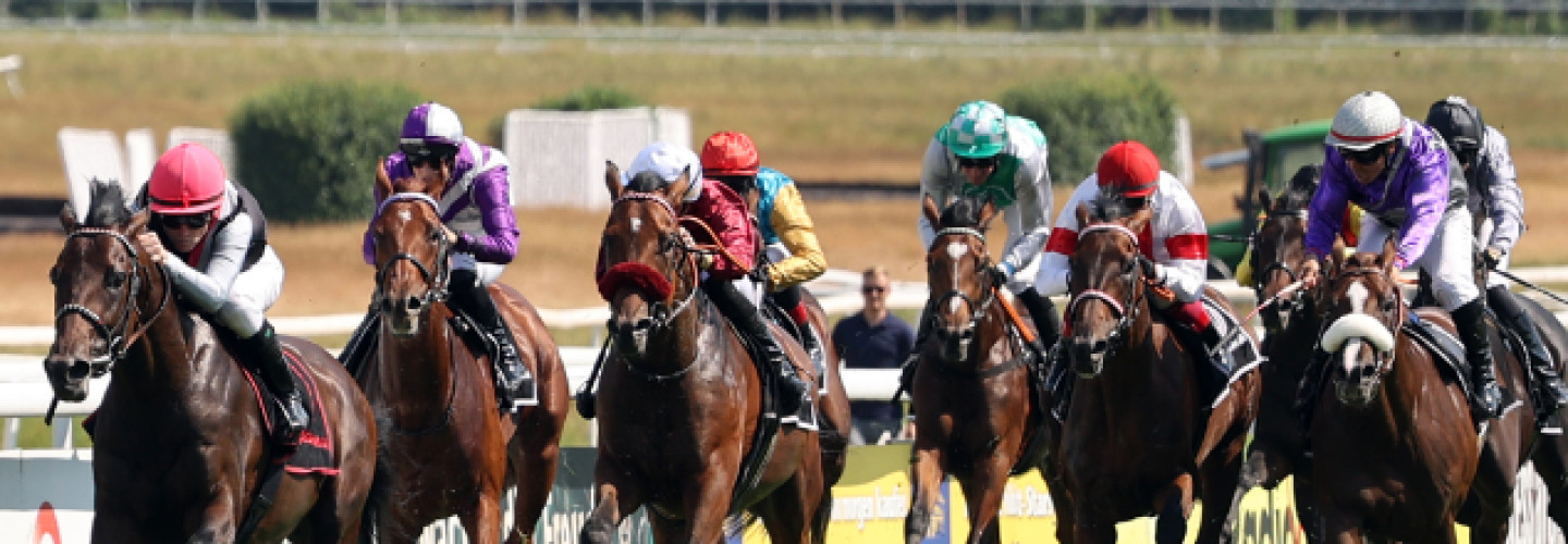 Straight gewinnt das Kölner Union-Rennen und damit den wichtigsten Derby-Test