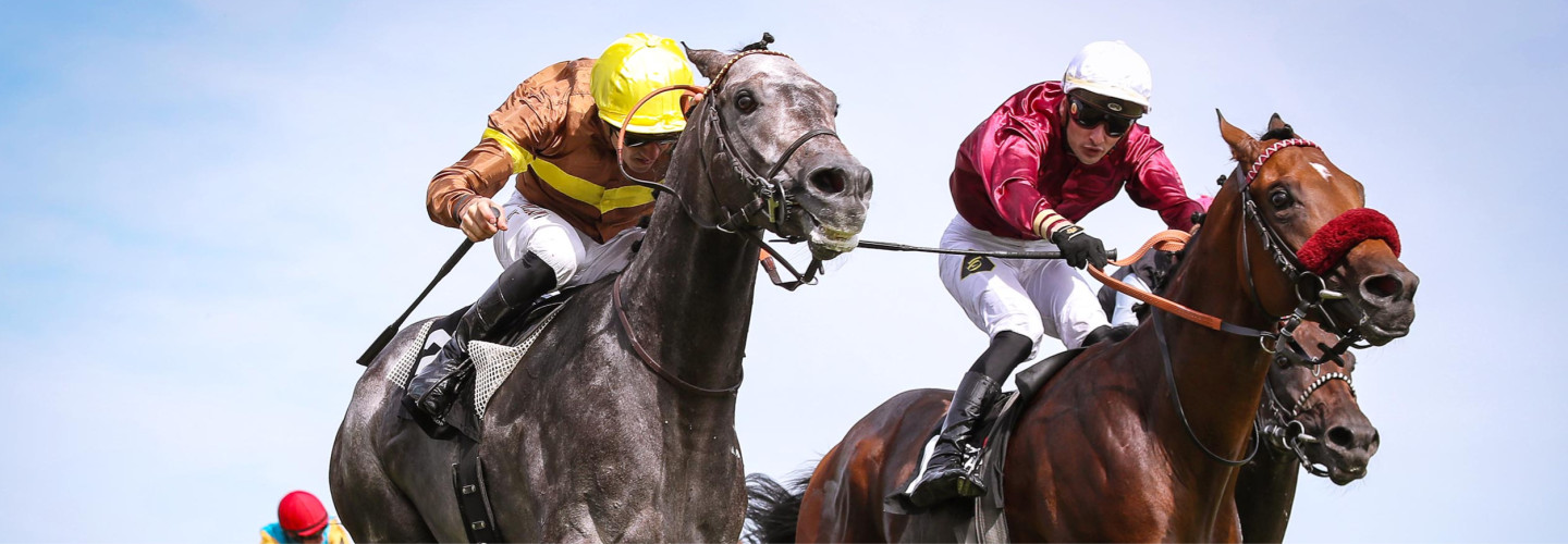 Zagrey (links) siegt im Großen Preis von Baden knapp gegen Mr Hollywood