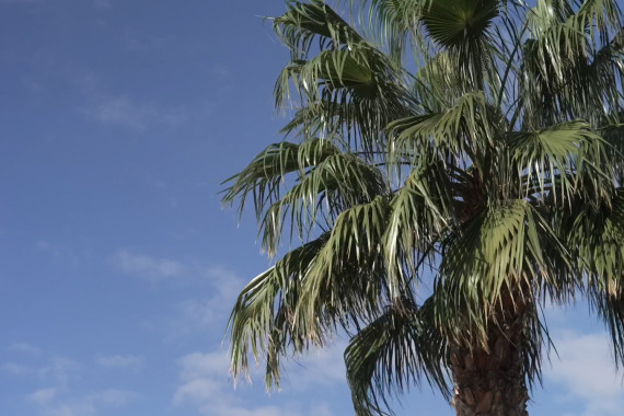 Schnittbilder rund um die Insel Fuerteventura