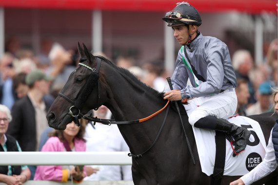 Die Diana-Favoritin Weracuz