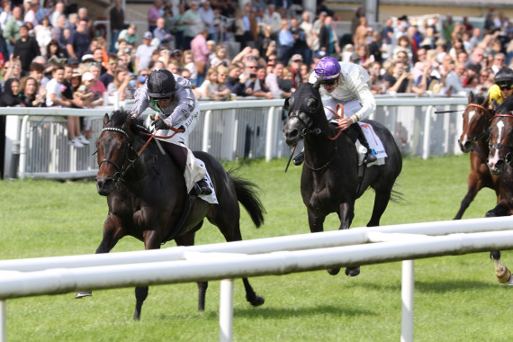 Arcandi gewinnt die 46. Kronimus Badener Meile