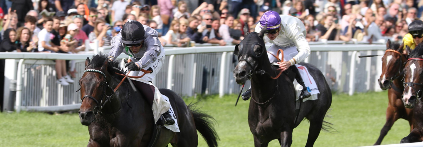 Arcandi gewinnt die 46. Kronimus Badener Meile