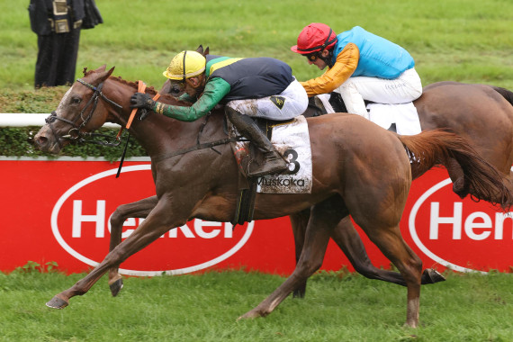 Muskoka gewinnt Henkel Preis der Diana