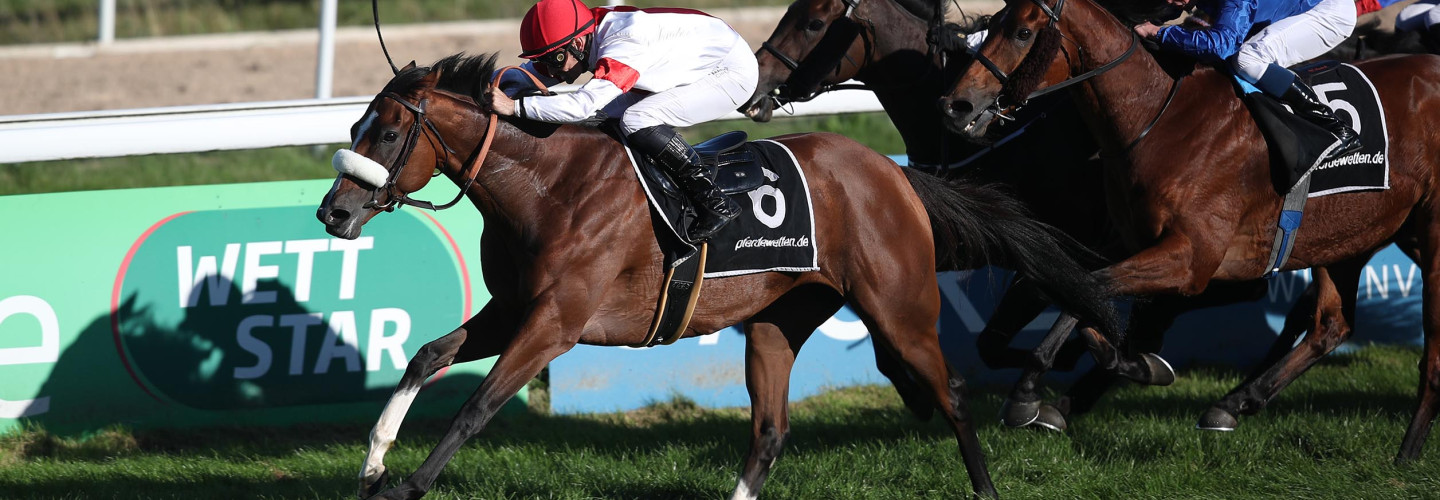 India gewinnt Preis von Europa