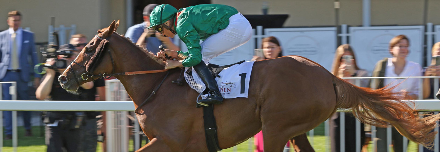 Darkaniya gewinnt in Iffezheim