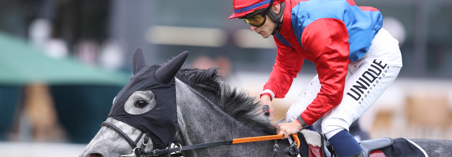 North Reliance gewinnt in Hannover